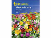 Kiepenkerl Last Minute Blumenmischung Inhalt: 4 m² GLO693105773