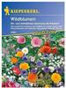 Pflanzen Kiepenkerl Blumenmischung Wildblumen Vorteilspack GLO693109114