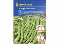 Kiepenkerl Stangenbohne Eva Phaseolus vulgaris var. vulgaris, Inhalt: 6-8...