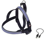 Nobby Norwegergeschirr Flash Mesh blau