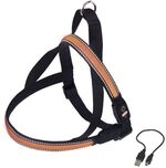 Nobby Norwegergeschirr Flash Mesh orange
