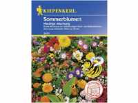 Kiepenkerl Niedrige Sommerblumenmischung Inhalt: ca. 50 Pflanzen GLO693108603