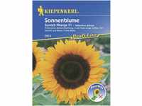 Kiepenkerl Sonnenblume Sunrich Orange F1 Inhalt reicht für ca. 25 Pflanzen