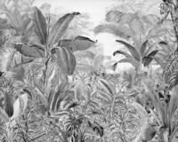 Komar Vlies Fototapete Roraima 350 x 280 cm