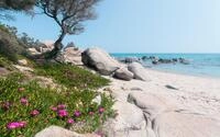 Komar Vlies Fototapete Mediterrane Tr&auml;ume 450 x 280 cm