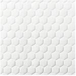 Coloplast GmbH Biatain Fiber 10x12 cm Faserverband 10 St 15628566_DBA