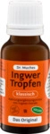 Dr. Muche GmbH Ingwertropfen Dr.Muches 20 ml 05500078_DBA