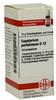 DHU-Arzneimittel GmbH & Co. KG Eupatorium Perfoliatum D 12 Globuli 10 g 02898465_DBA