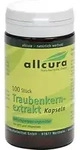 Traubenkernextrakt Kapseln 100 St