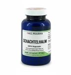 HECHT Pharma GmbH Schachtelhalm Kapseln 120 St 00120626_DBA
