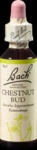 Nelsons GmbH Bachbl&uuml;ten Chestnut Bud Tropfen 20 ml 00047734_DBA