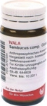 Sambucus Comp Globuli 20 g