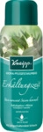 Kneipp GmbH Kneipp Aroma-Pflegeschaumbad Erk&auml;ltungszeit 400 ml 06909651_DBA