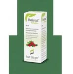 Johannes B&uuml;rger Ysatfabrik GmbH Uvalysat Fl&uuml;ssigkeit zum Einnehmen 30 ml