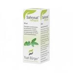 Johannes B&uuml;rger Ysatfabrik GmbH Salvysat Fl&uuml;ssigkeit 30 ml 17147724_DBA