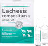 Biologische Heilmittel Heel GmbH Lachesis Compositum N ad us.vet.Ampullen 5 St