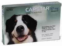 Elanco Deutschland GmbH Capstar 57 mg Tabletten f.große Hunde 6 St 01280763_DBA