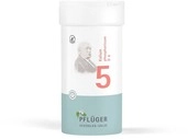 Biochemie Pfl&uuml;ger 5 Kalium phosphoricum D 6 Tabl. 400 St