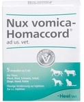 Biologische Heilmittel Heel GmbH NUX Vomica Homaccord ad us.vet.Ampullen 5 St