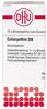 DHU-Arzneimittel GmbH & Co. KG Colocynthis D 8 Globuli 10 g 07165419_DBA