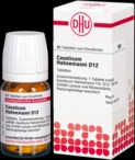 DHU-Arzneimittel GmbH & Co. KG Causticum Hahnemanni D 12 Tabletten 80 St 02112163_DBA