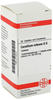 DHU-Arzneimittel GmbH & Co. KG Corallium Rubrum D 6 Tabletten 80 St 02113412_DBA