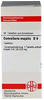 DHU-Arzneimittel GmbH & Co. KG Convallaria Majalis D 6 Tabletten 80 St 02629038_DBA