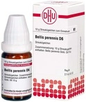 DHU-Arzneimittel GmbH & Co. KG Bellis Perennis D 6 Globuli 10 g 02894645_DBA