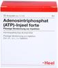 Biologische Heilmittel Heel GmbH ATP Injeel forte Ampullen 10 St 01813478_DBA