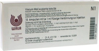 Viscum Mali e planta tota D 6 Ampullen 10X1 ml