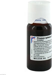 Prunus Spinosa Summitates Urtinktur 50 ml