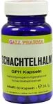 HECHT Pharma GmbH Schachtelhalm Kapseln 60 St 00120431_DBA