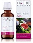 Dr. Koll Biopharm GmbH Gemmo Mazerat Feige Dr.Koll Ficus carica Tropfen 50 ml