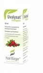 Johannes B&uuml;rger Ysatfabrik GmbH Uvalysat Fl&uuml;ssigkeit zum Einnehmen 50 ml