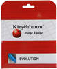 Kirschbaum Tennissaite Pro Line Evolution (Haltbarkeit+Kontrolle) blau 12m Set