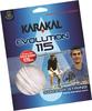 Karakal Squashsaite Evolution 115 silber 10m Set