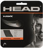 Head 281103-GR, HEAD Hawk Saitenset 12m grau
