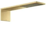 hansgrohe ShowerComposition Kopfbrause 12592250 110x220mm, Wandmontage, 1jet, brushed