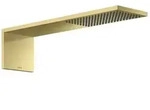 hansgrohe ShowerComposition Kopfbrause 12592950 110x220mm, Wandmontage, 1jet, brushed