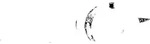 Hansa Brausearmatur Hansamix 08619175 Renovierungsl&ouml;sung, chrom