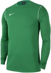 NIKE Park 20 Dri-FIT Langarmshirt Herren 302 - pine green/white/white XL