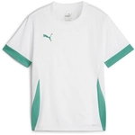 PUMA teamGOAL Matchday Trikot Kinder 15 - PUMA white/sport green/sport green 116