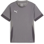 PUMA teamGOAL Matchday Trikot Kinder 13 - cast iron/puma white/shadow gray 116