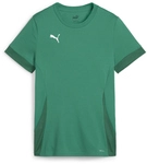 PUMA teamGOAL Matchday Trikot Damen 05 - sport green/puma white/power green XL