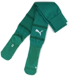 PUMA teamFINAL Stutzenstr&uuml;mpfe 05 - sport green/puma white/power green 31-34