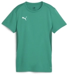 PUMA teamGOAL Trikot Damen 05 - sport green/puma white XS