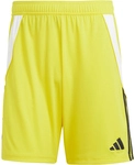 adidas Tiro 24 Trainingsshorts Herren IS1409 - team yellow/black S