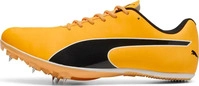 Puma 311872-01, PUMA evoSPEED Sprint 14.5 Leichtathletikschuhe 01 - sun stream/puma