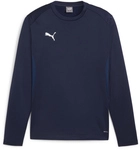 PUMA teamGOAL Trainings-Sweatshirt Herren 06 - PUMA navy/PUMA white/persian...