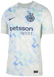 NIKE Inter Mailand Dri-FIT Stadium Ausw&auml;rtstrikot Herren 497 - ghost aqua/white/blue